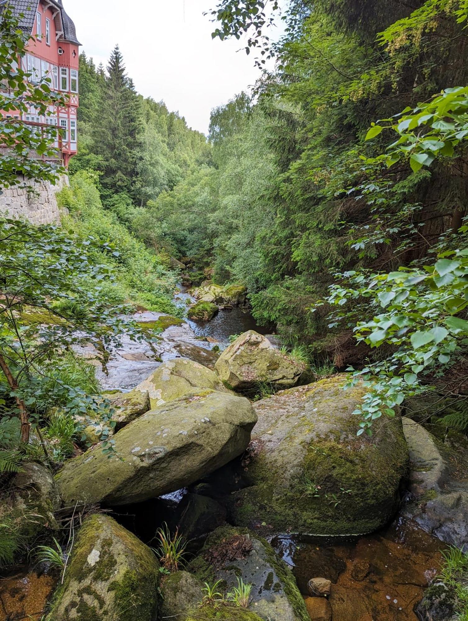 Waldgasthaus & Berghotel Steinerne Renne فيرنغروده المظهر الخارجي الصورة