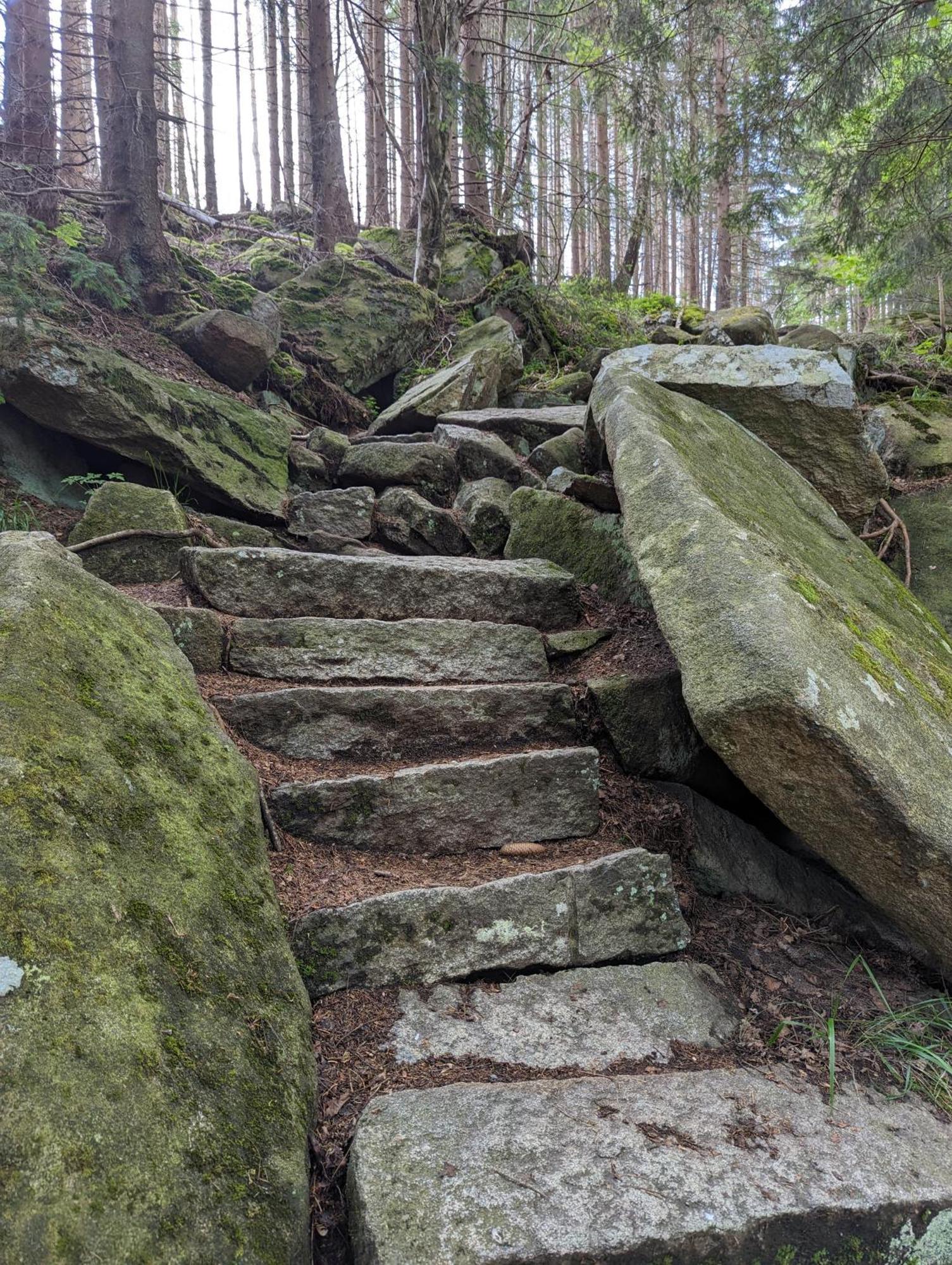Waldgasthaus & Berghotel Steinerne Renne فيرنغروده المظهر الخارجي الصورة